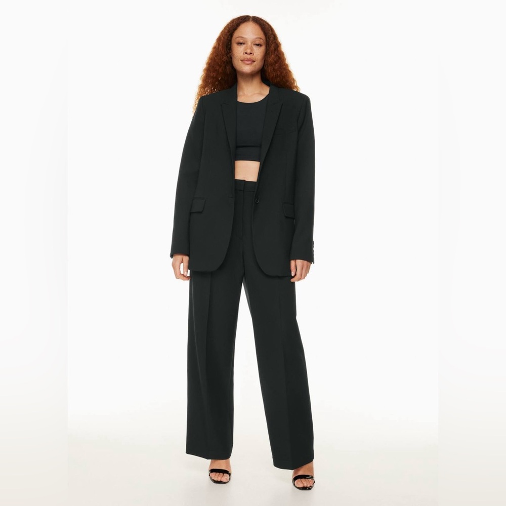 Aritzia Babaton Pleated Pant